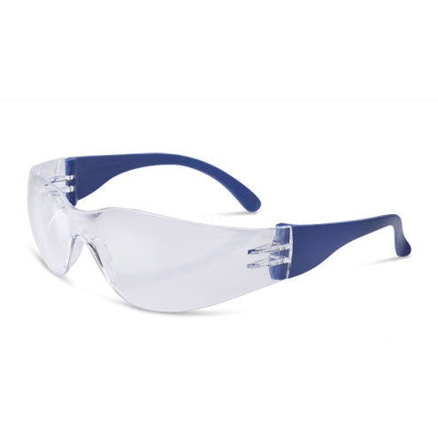 Beeswift Everson Safety Spectacle Clear