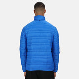 #colour_blue-black
