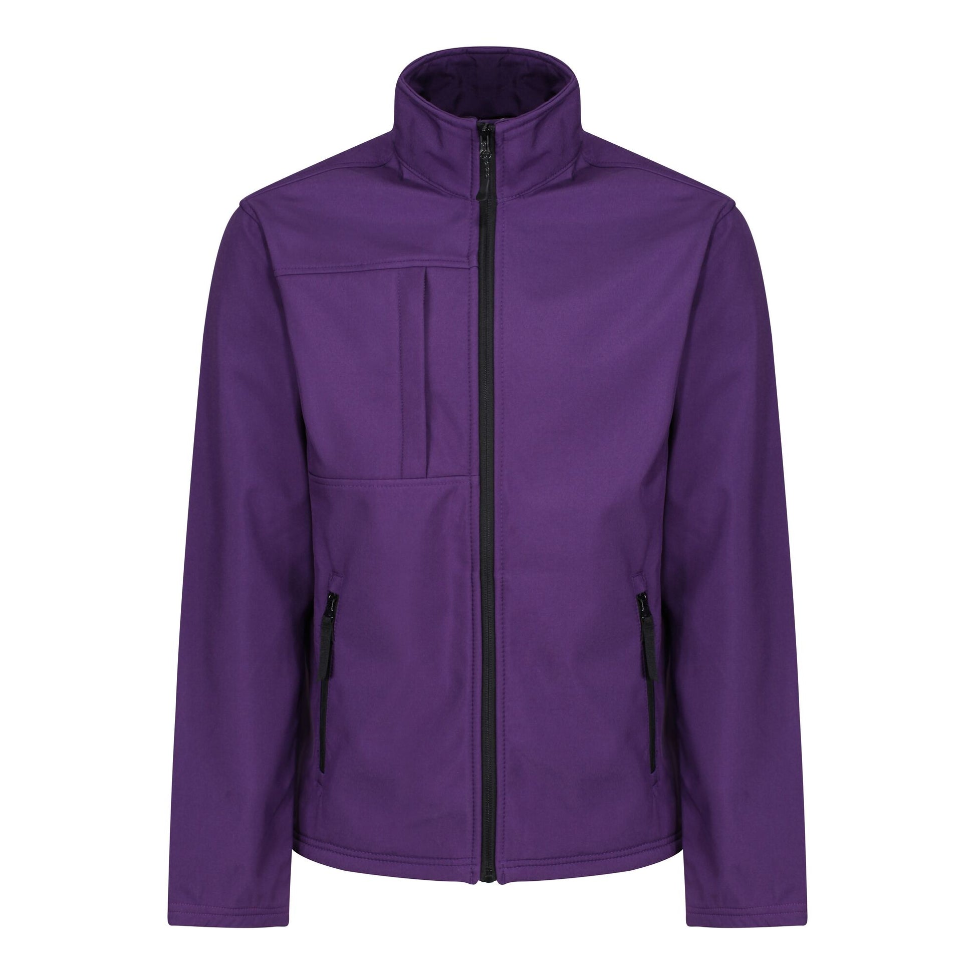 #colour_major-purple-black