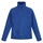 #colour_royal-blue
