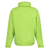 #colour_keylime-seal-grey